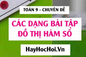 Các dạng bài tập toán đồ thị hàm số lớp 9 - Toán 9 chuyên đề